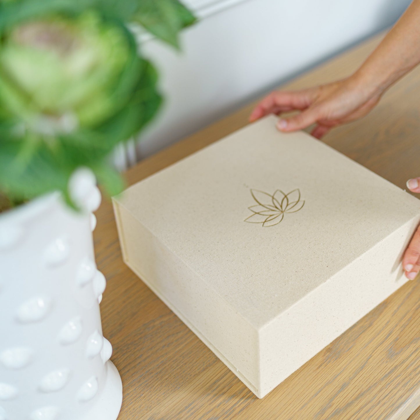 The Lotus Box